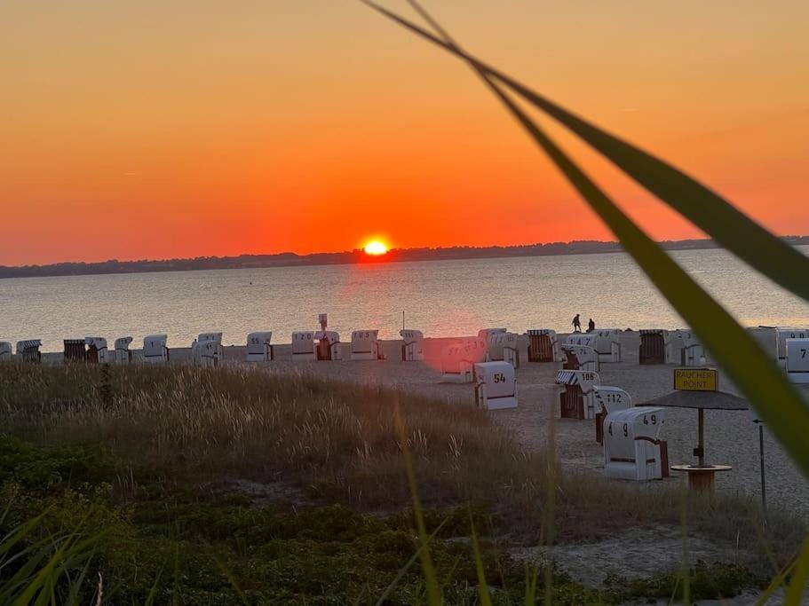 Neue Ferienwohnung Kuestennaehe Mit Terrasse 3Km Zum Strand Osdorf 外观 照片