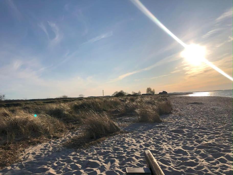 Neue Ferienwohnung Kuestennaehe Mit Terrasse 3Km Zum Strand Osdorf 外观 照片