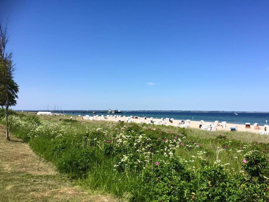 Neue Ferienwohnung Kuestennaehe Mit Terrasse 3Km Zum Strand Osdorf 外观 照片